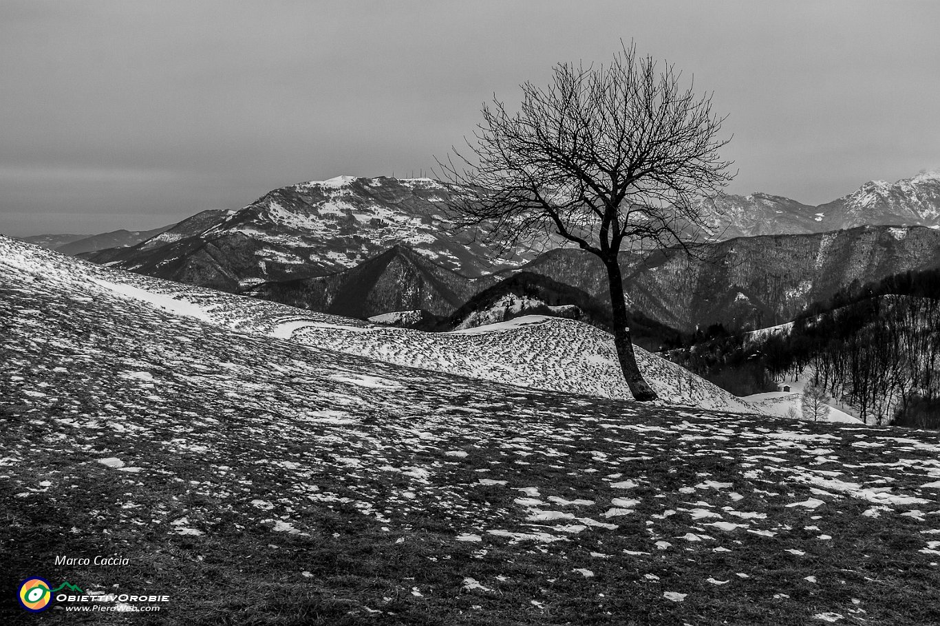 In attesa della neve al Canto Alto-1.JPG